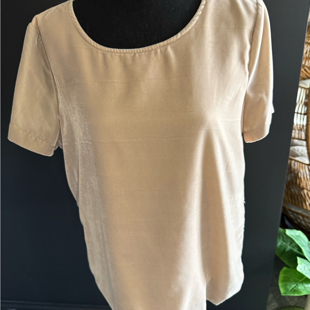 J. Crew Velvet Short Sleeve Scoop Neck Top in Light Beige